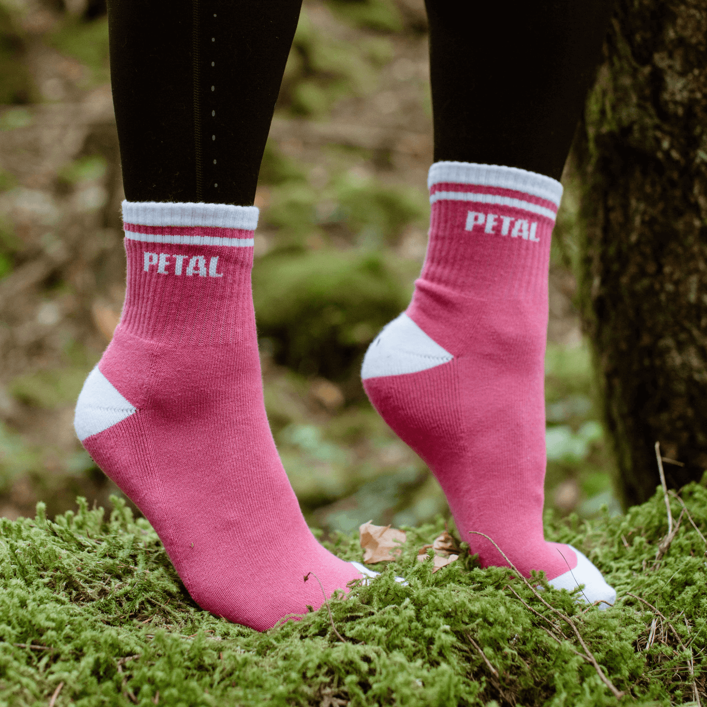 PRE-ORDER Beasts of the Briar - Petal Socks