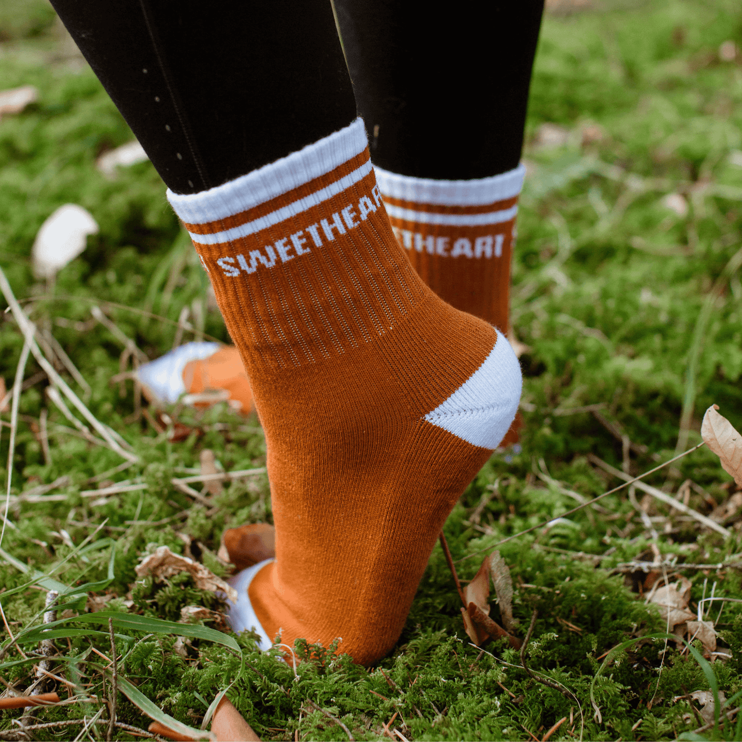 PRE-ORDER Beasts of the Briar - Sweetheart Socks