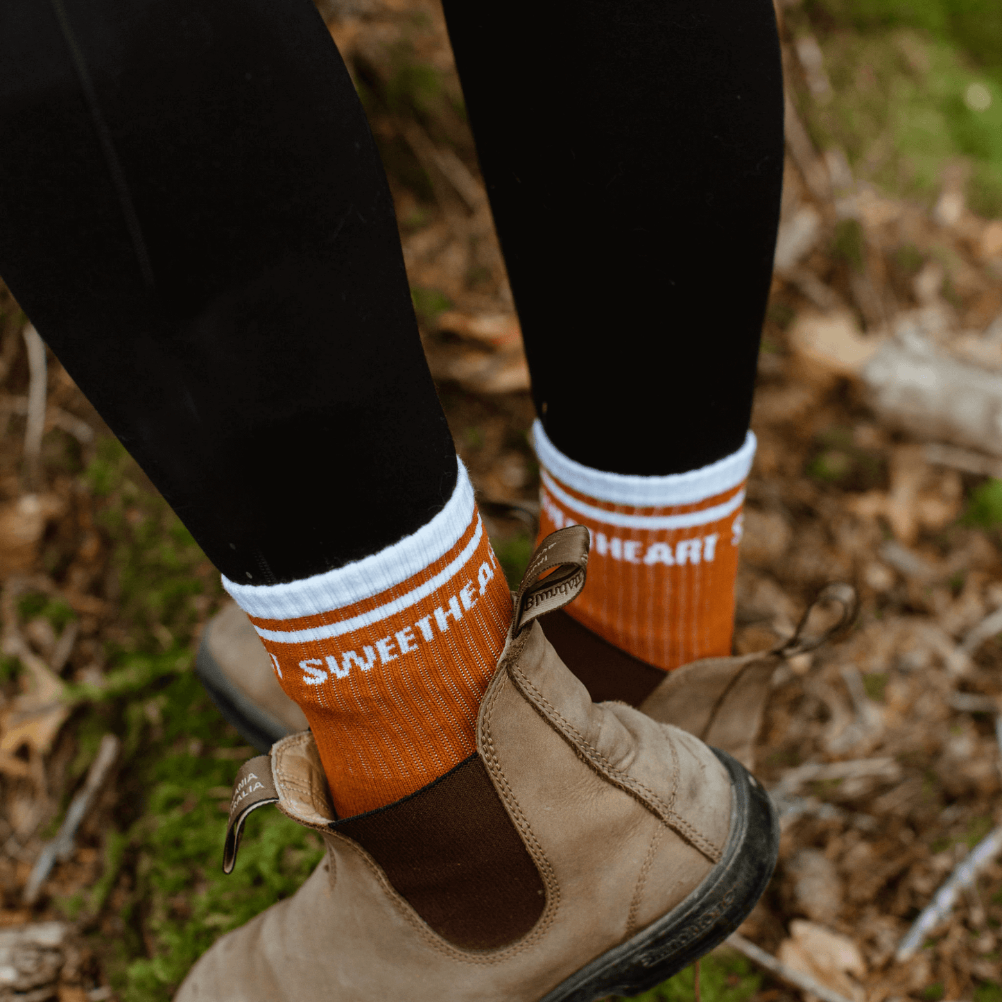 PRE-ORDER Beasts of the Briar - Sweetheart Socks