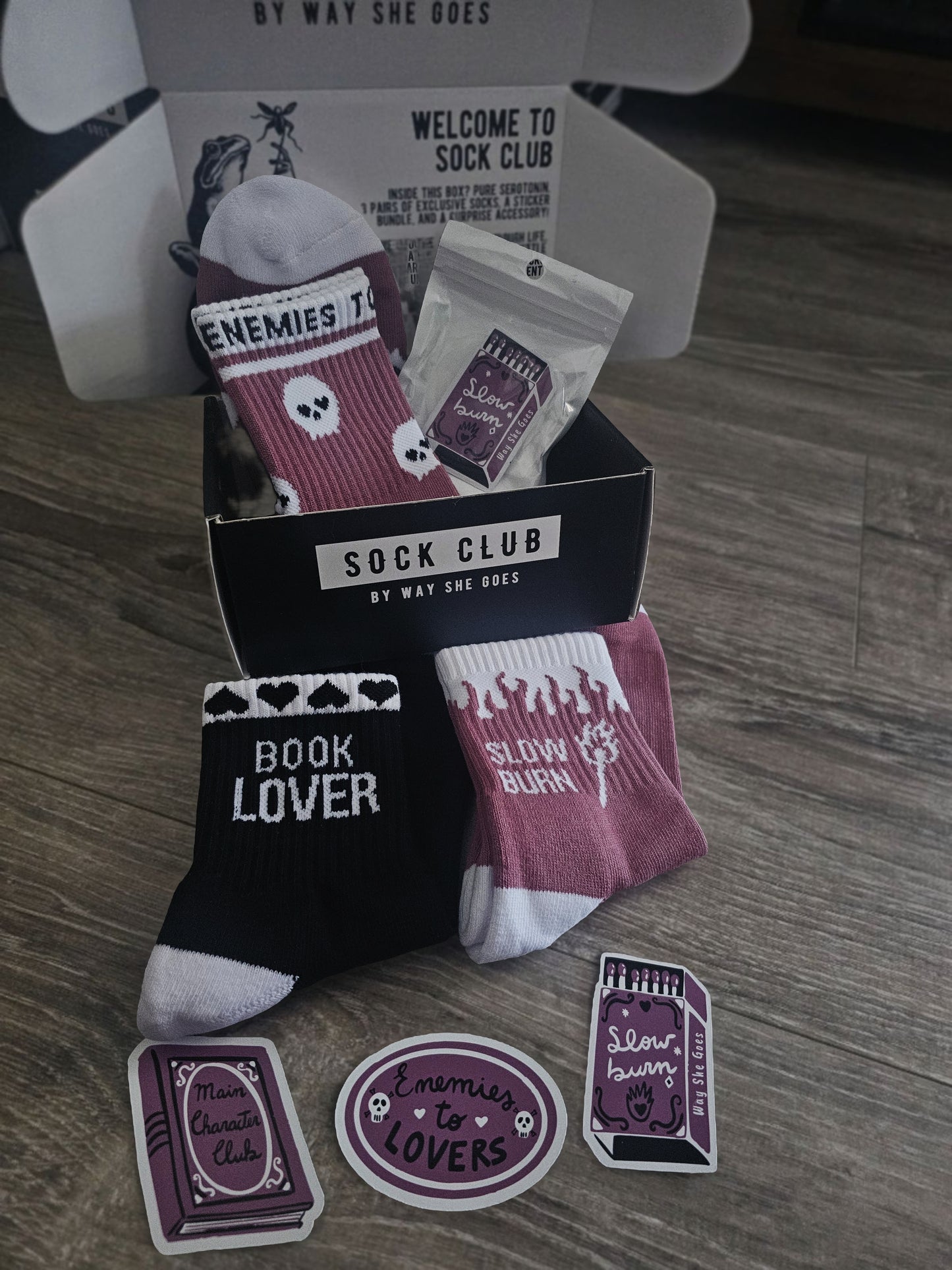 February Sock Club - Bookish Overstock