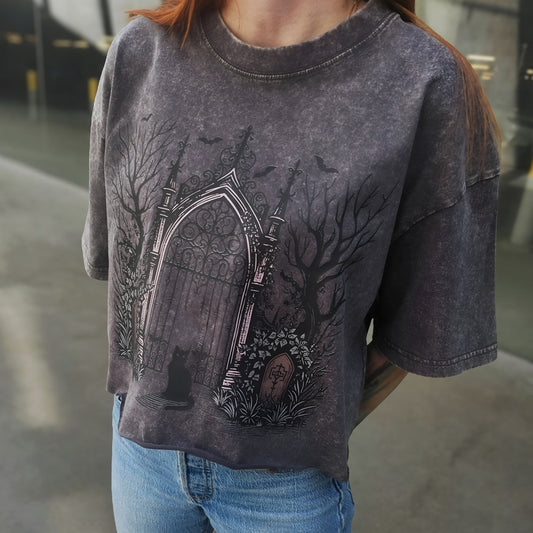 PRE-ORDER A Filthy Duet Grey Cropped Vintage Tee